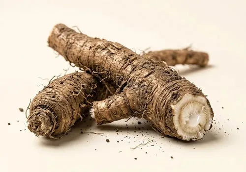 Hoja de diente de león