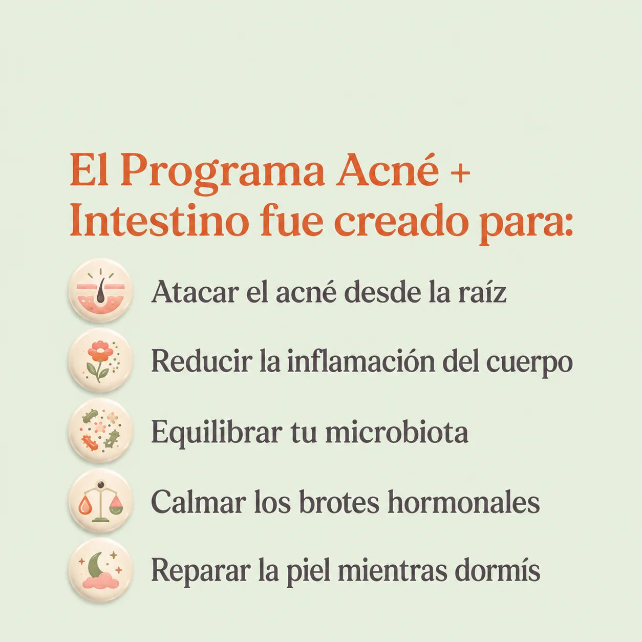 Para qué fue creado el Programa Acné + Intestino